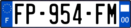 FP-954-FM