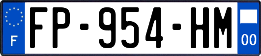 FP-954-HM
