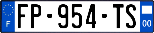 FP-954-TS