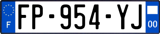 FP-954-YJ
