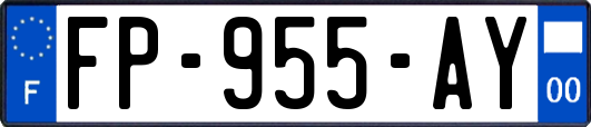 FP-955-AY