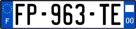 FP-963-TE