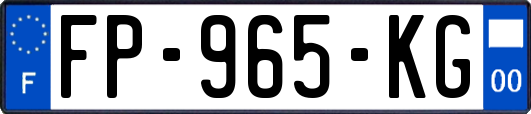 FP-965-KG
