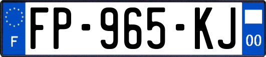 FP-965-KJ