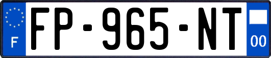 FP-965-NT