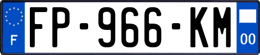 FP-966-KM