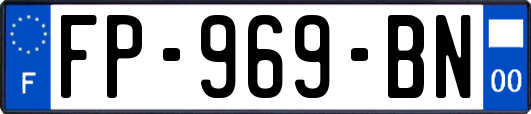 FP-969-BN