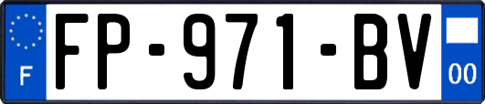 FP-971-BV
