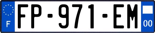 FP-971-EM
