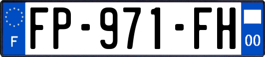 FP-971-FH