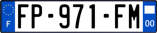 FP-971-FM