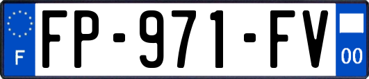 FP-971-FV