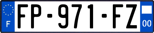 FP-971-FZ