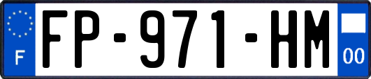 FP-971-HM