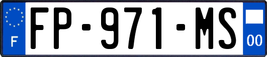 FP-971-MS