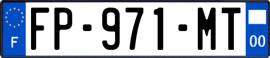 FP-971-MT