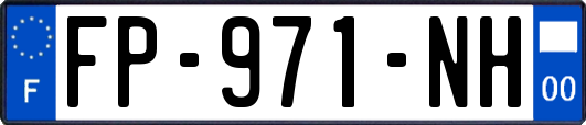 FP-971-NH