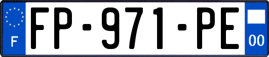FP-971-PE