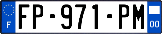 FP-971-PM
