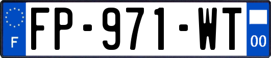 FP-971-WT