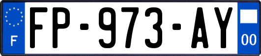 FP-973-AY