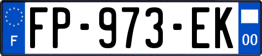 FP-973-EK