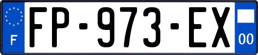 FP-973-EX