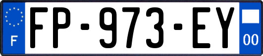 FP-973-EY