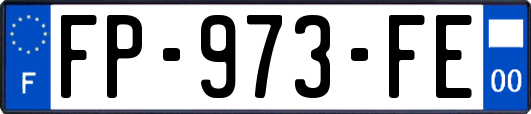 FP-973-FE