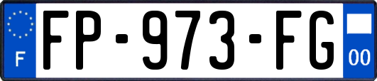 FP-973-FG