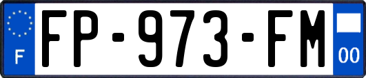 FP-973-FM