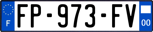 FP-973-FV