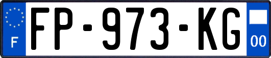 FP-973-KG