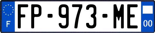 FP-973-ME