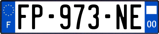 FP-973-NE