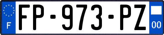 FP-973-PZ
