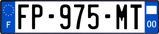 FP-975-MT