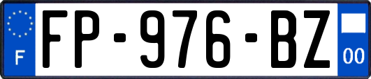 FP-976-BZ