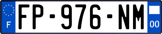 FP-976-NM