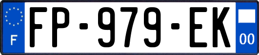 FP-979-EK