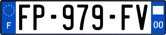 FP-979-FV