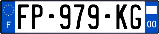 FP-979-KG