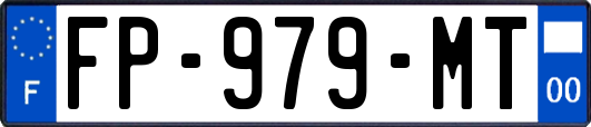 FP-979-MT