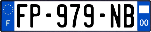 FP-979-NB