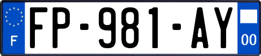 FP-981-AY