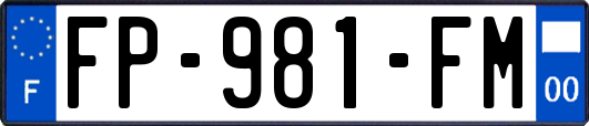 FP-981-FM