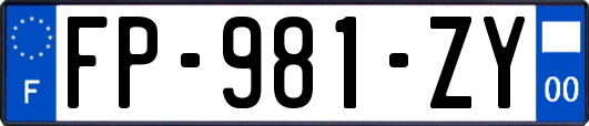 FP-981-ZY