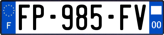 FP-985-FV
