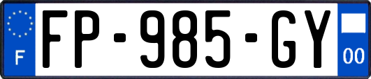 FP-985-GY