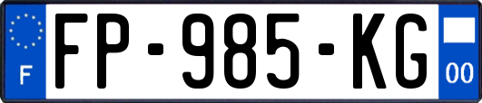FP-985-KG
